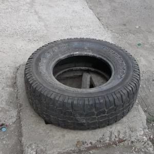 Meet your Posher, Karin